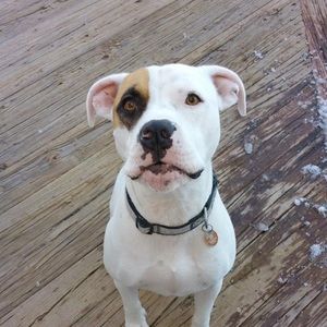 Meet your Posher, Aylin